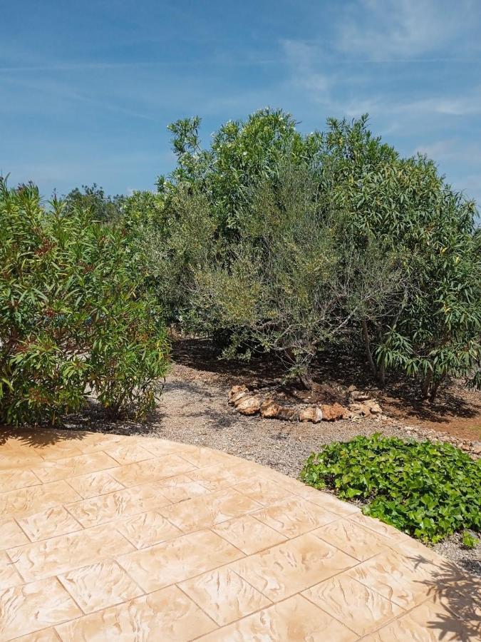 Finca El Gaudi, Casita Catharina 安波拉 外观 照片