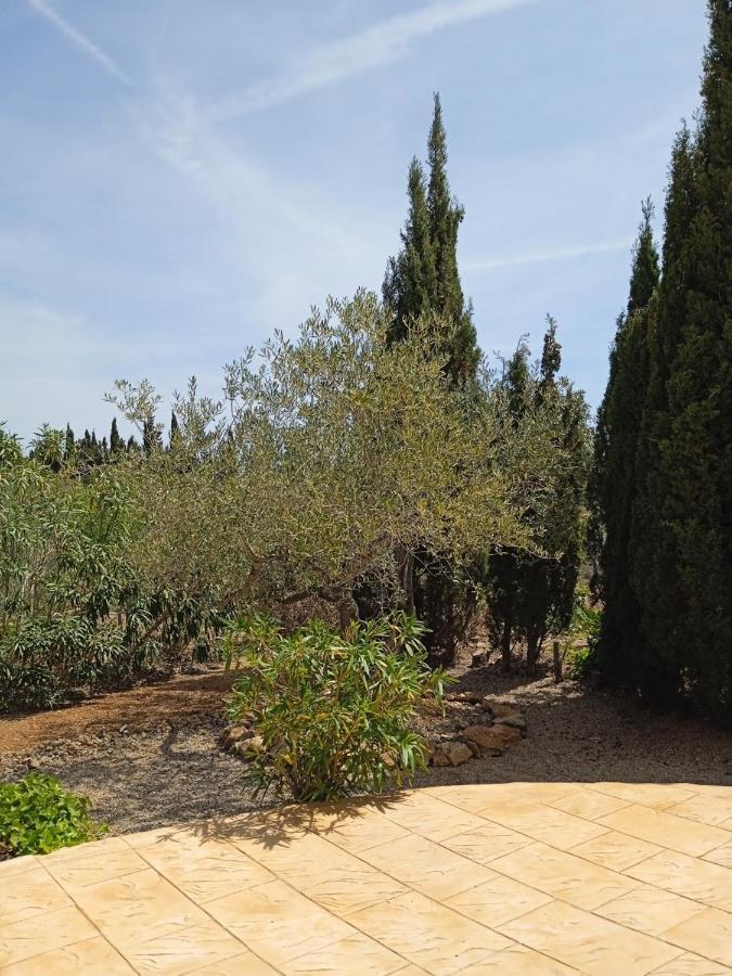 Finca El Gaudi, Casita Catharina 安波拉 外观 照片