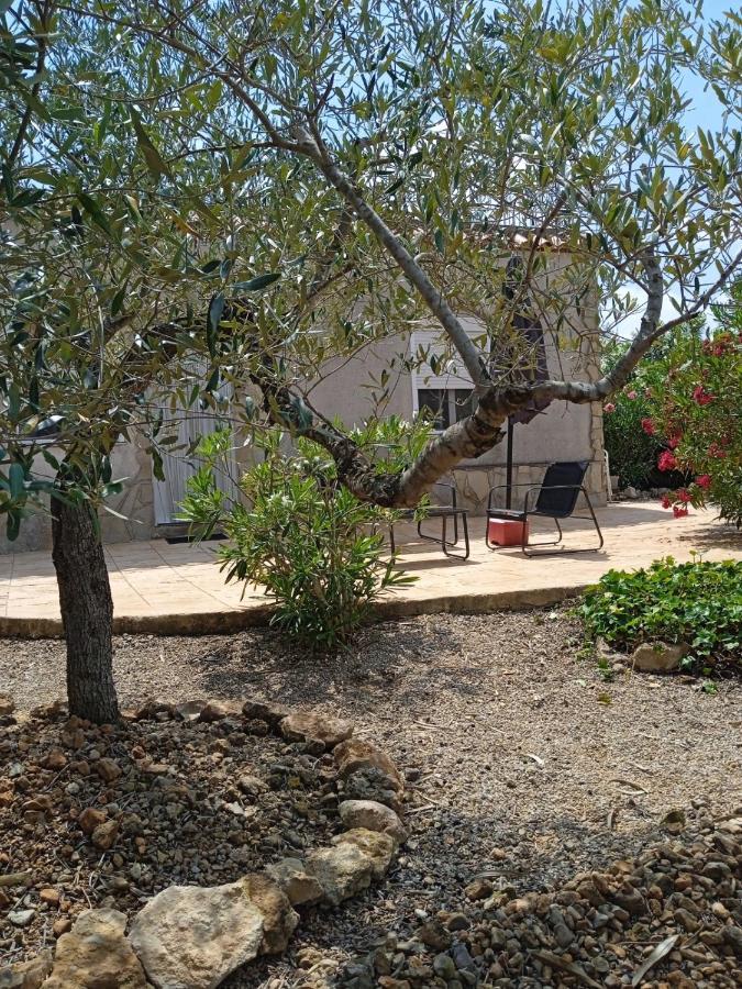 Finca El Gaudi, Casita Catharina 安波拉 外观 照片